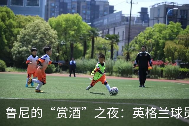 鲁尼的“赏酒”之夜：英格兰球员凌晨在巴塞尔的河里漂流